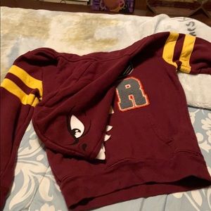 Dinosaur roar sweatshirt